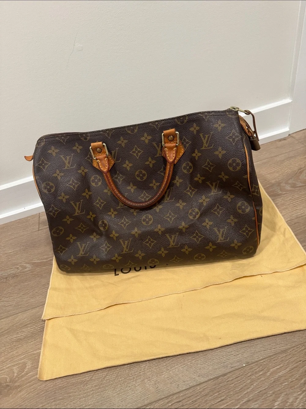 Louis Vuitton classic louis